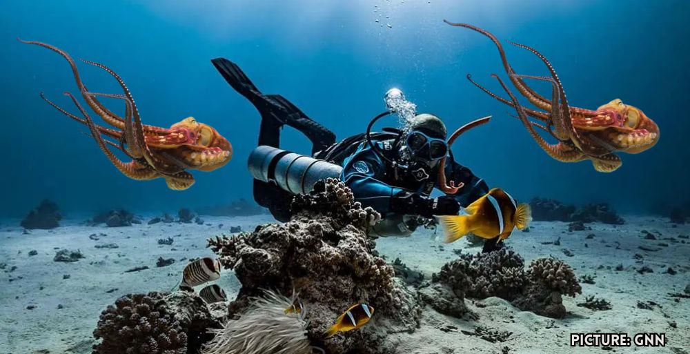GNN Lucinda Southworths Oceankind Donates Over 120 Million to Marine Conservation Efforts