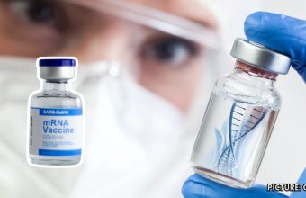 GNN Queen Mary University Scientists Enhance