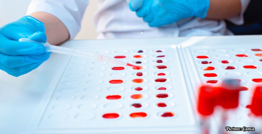 GNN Research Links Blood Type to Health Risks and Benefits