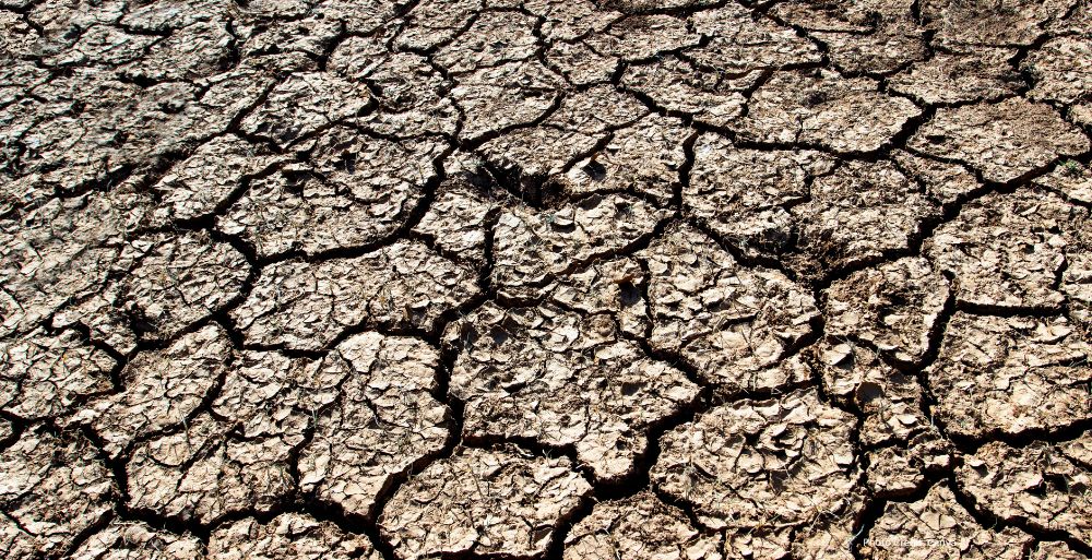 GNN Super El Niño Projected to Cause Over 450 000 Additional Deaths by February 2027