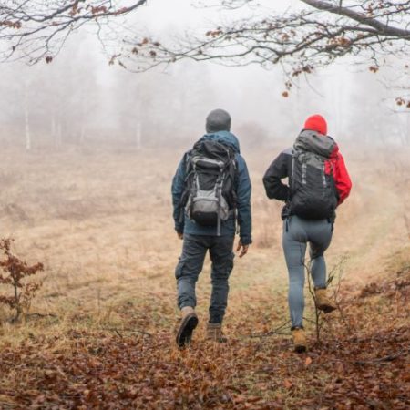Healthandwellness — Research Explores the Impact of Recreational Fear on Interpersonal Bonding