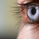 Healthandwellness — Researchers Discover Potential Retinal Defense Mechanism Against Vision Loss