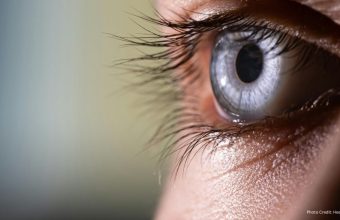 Healthandwellness — Researchers Discover Potential Retinal Defense Mechanism Against Vision Loss