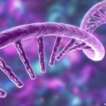 University of Toronto Researchers Develop RNA Therapy to Address Genetic Diseases