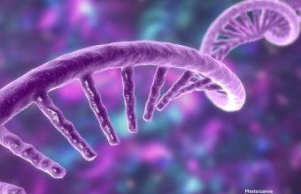 University of Toronto Researchers Develop RNA Therapy to Address Genetic Diseases