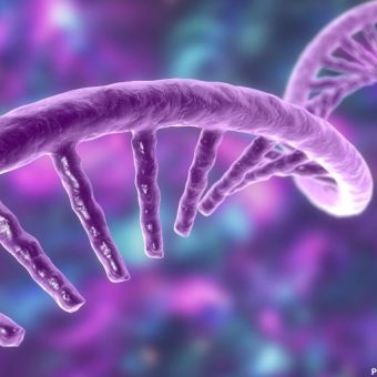 University of Toronto Researchers Develop RNA Therapy to Address Genetic Diseases
