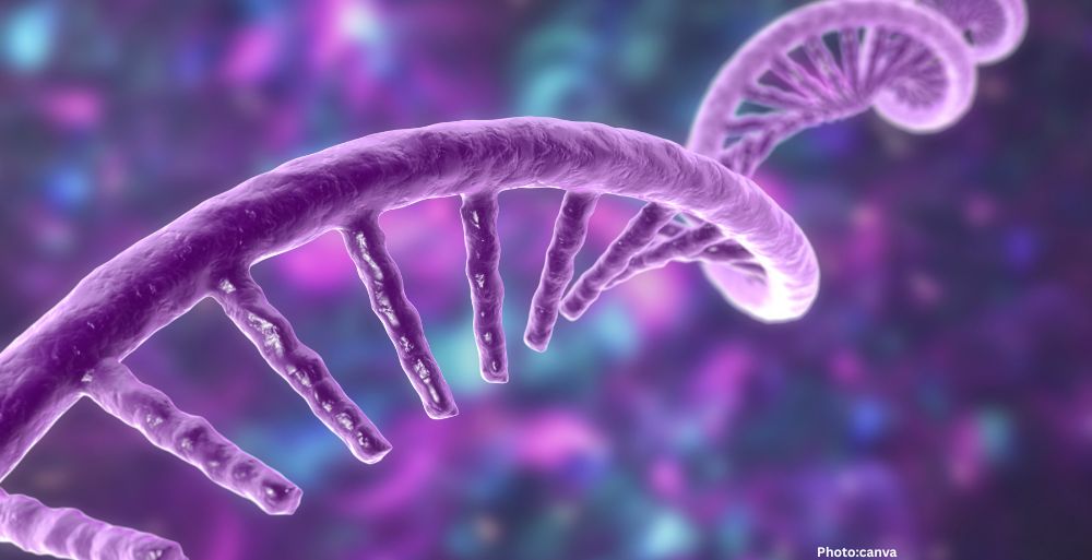 University of Toronto Researchers Develop RNA Therapy to Address Genetic Diseases