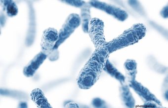 Beyond Hormones Landmark Science Review Reveals How X and Y Chromosomes Direct Cellular Aging Immunity and Disease Risk