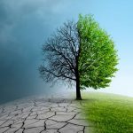 GNN Climate Action