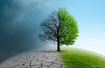 GNN Climate Action