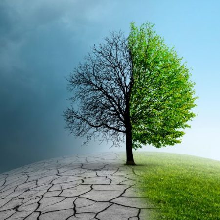 GNN Climate Action