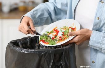 Global Food Loss and Waste Drive Environmental Degradation and Threaten Agrifood Security