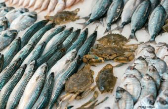 Health Considerations in Seafood Choices A Comprehensive Guide