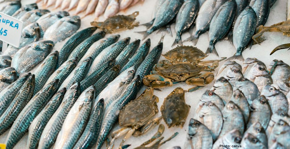Health Considerations in Seafood Choices A Comprehensive Guide