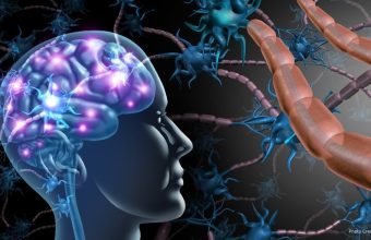Healthandwellness Alcohol Induced Brain Damage Through Immune Cells