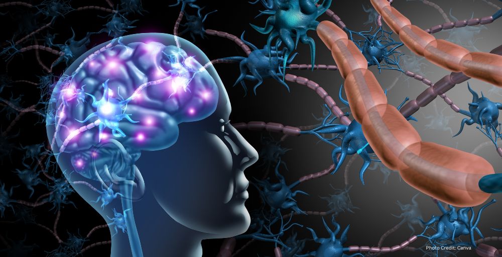 Healthandwellness Alcohol Induced Brain Damage Through Immune Cells