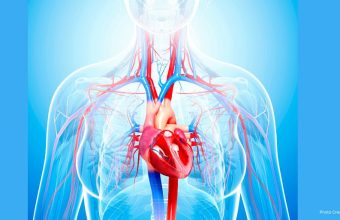 Healthandwellness Cardiovascular Risk