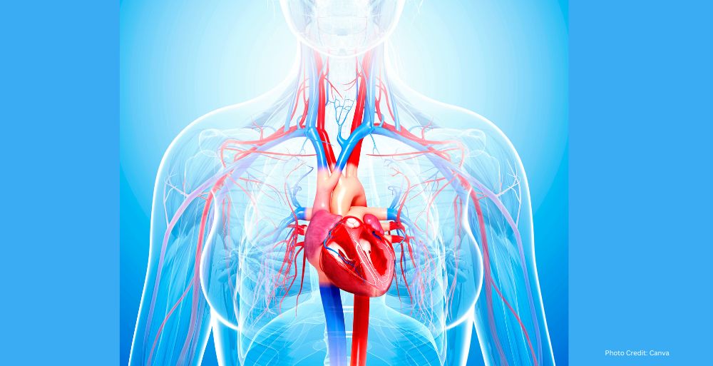 Healthandwellness Cardiovascular Risk