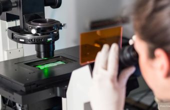 Healthandwellness Reprogram Aging Cells Using Gene Expressio