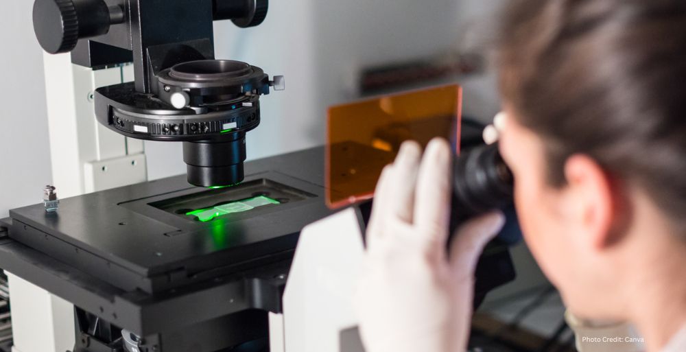Healthandwellness Reprogram Aging Cells Using Gene Expressio