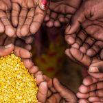 Healthandwellness UN Officials Highlight Systemic Causes of Global Hunger Crisis