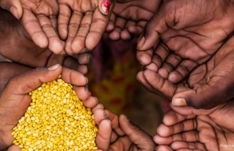 Healthandwellness UN Officials Highlight Systemic Causes of Global Hunger Crisis