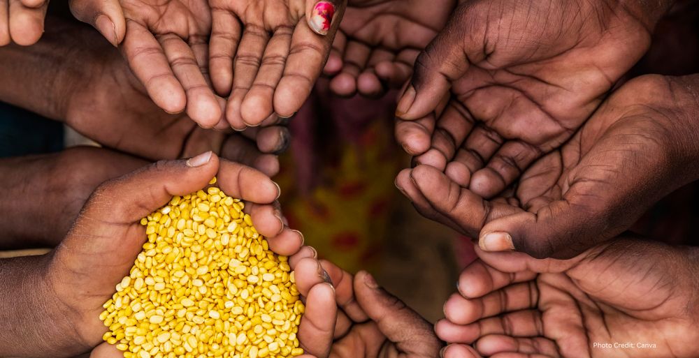 Healthandwellness UN Officials Highlight Systemic Causes of Global Hunger Crisis