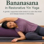 Public Health and Wellness Analysis Deep Anatomical and Physiological Impact of Bananasana in Restorative Yin Yoga