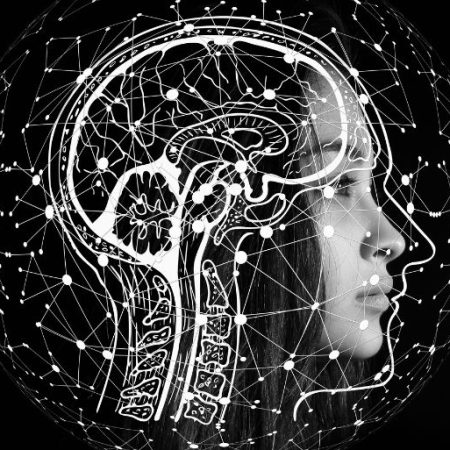 Swiss Researchers Map Neural Bridge Connecting Master Biological Clock to Brain’s Wakefulness Centers