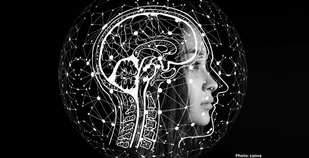 Swiss Researchers Map Neural Bridge Connecting Master Biological Clock to Brain’s Wakefulness Centers
