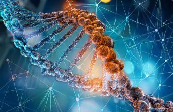 The GNN Massive Genetic Study Reveals Complex Links Between DNA and Personality Traits