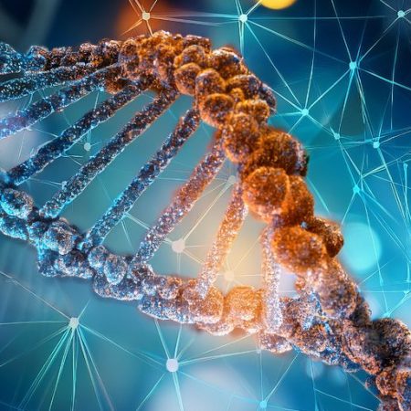 The GNN Massive Genetic Study Reveals Complex Links Between DNA and Personality Traits
