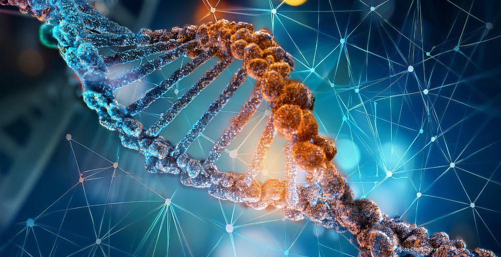 The GNN Massive Genetic Study Reveals Complex Links Between DNA and Personality Traits