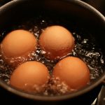 egg
