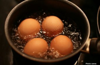egg