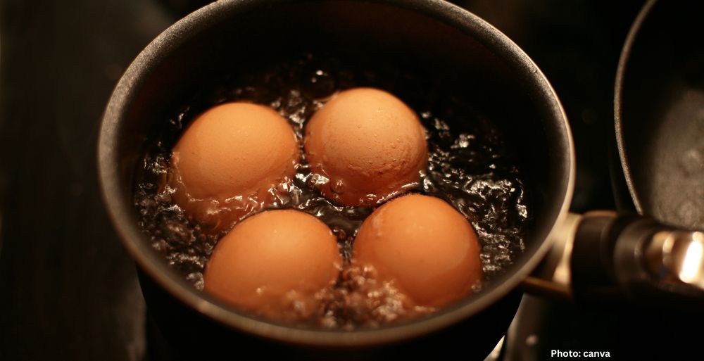 egg