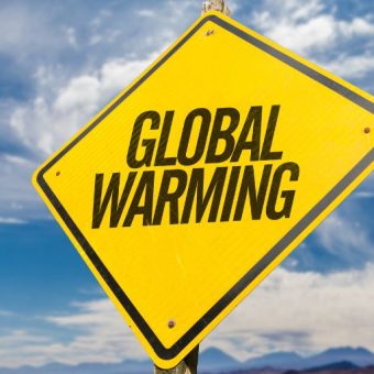 global