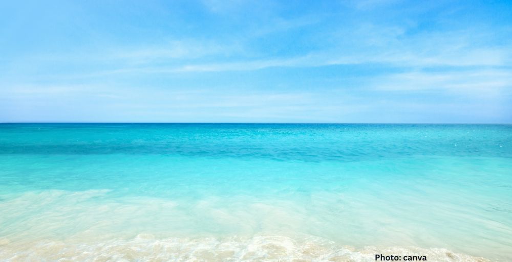 sea