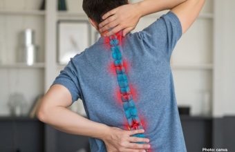 spine
