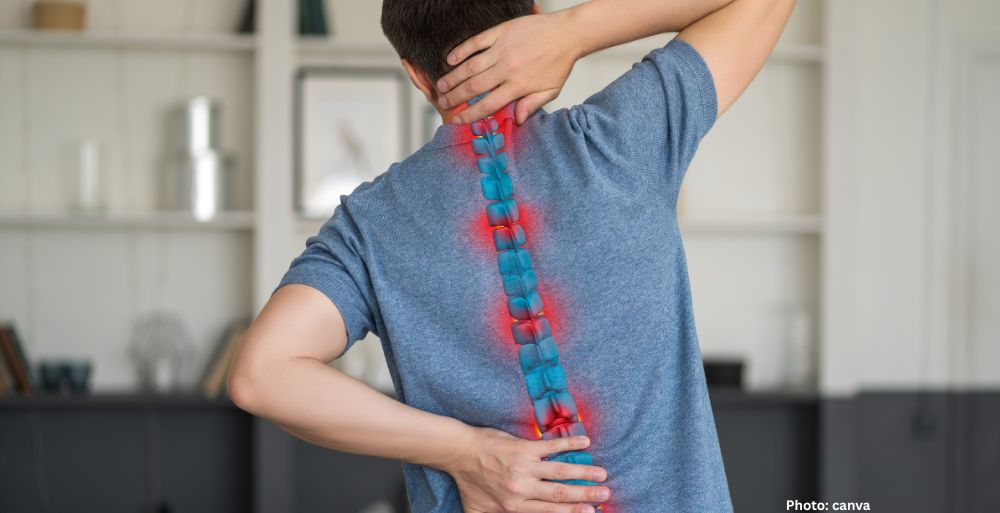 spine
